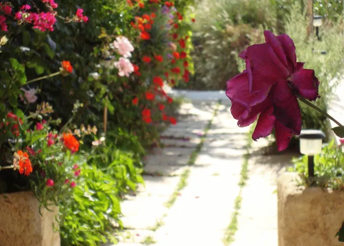 Creta Sun Hotel Studios