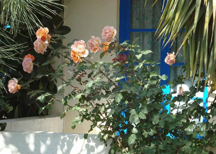 Creta Sun Hotel Studios
