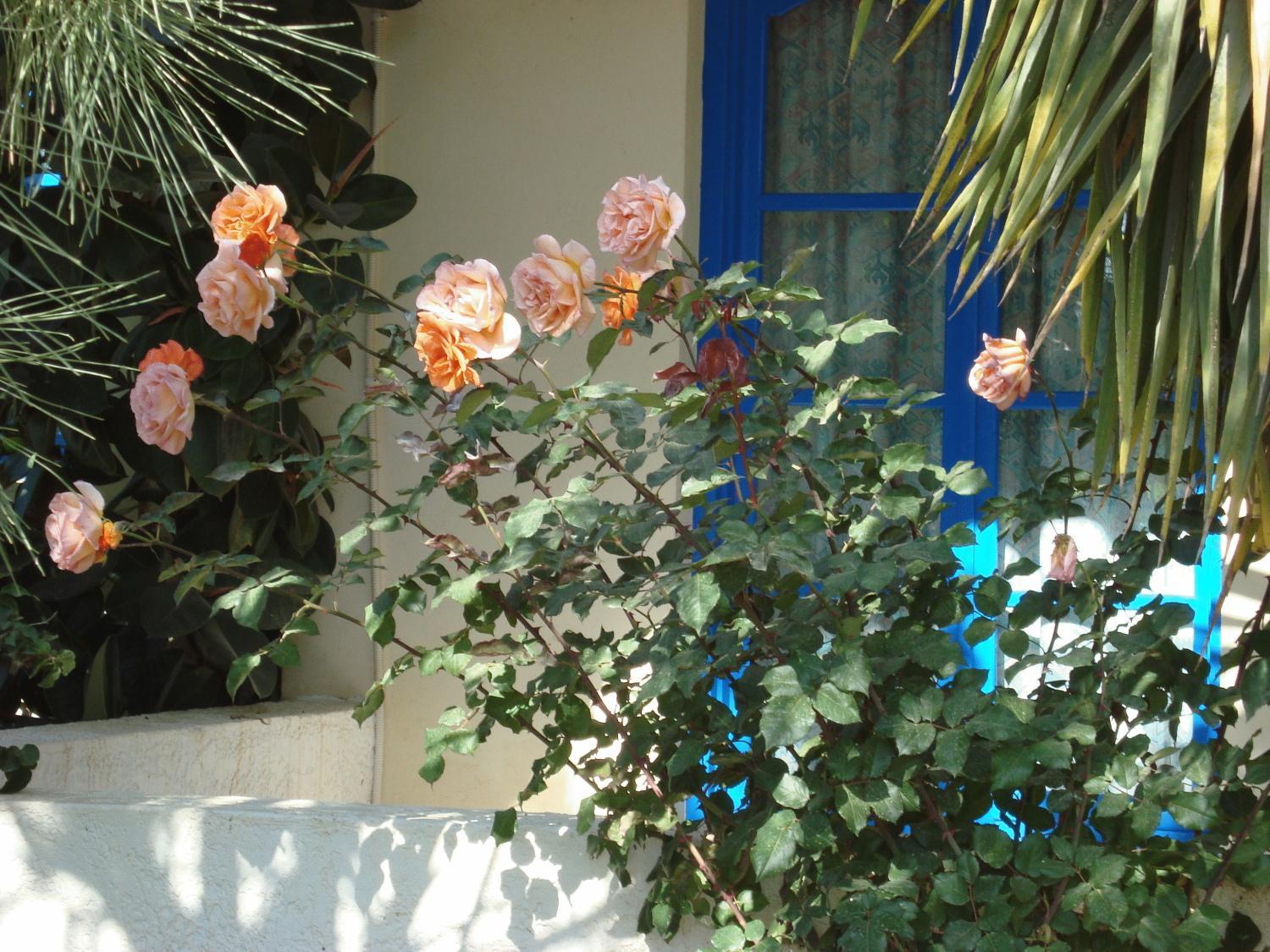 Aparthotel Creta Sun